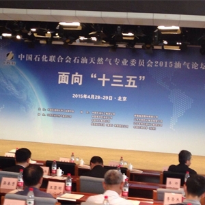 中国石油化工联合会石油天然气委员会2015油气论坛