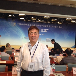 中国石油化工联合会石油天然气委员会2015油气论坛